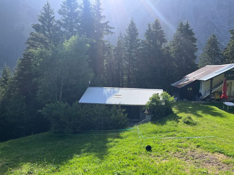 Vue du chalet