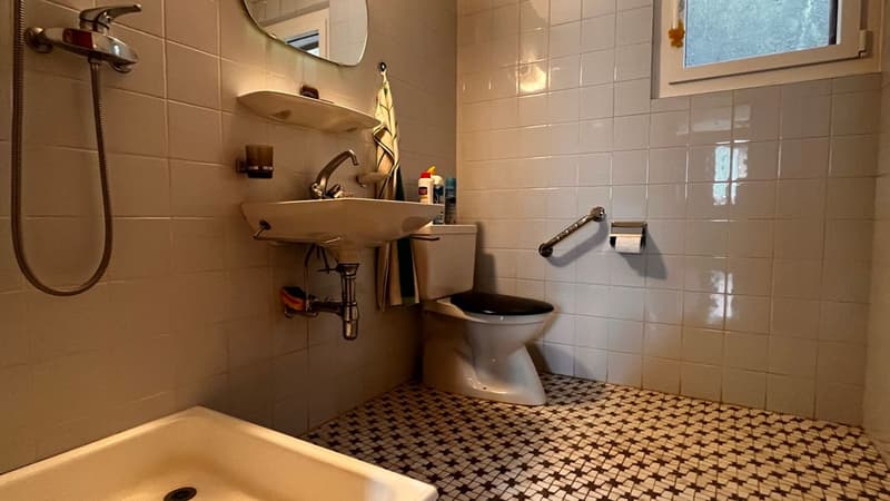 WC/douche au rez inférieur
