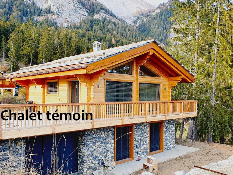 Chalet témoin