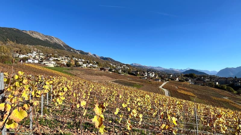 Nouvelle promotion à Savièse (3)