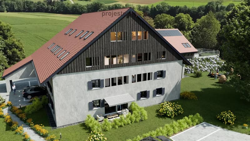 NOUVELLE PROMOTION  appartement neuf dans les combles/mezzanine (3)