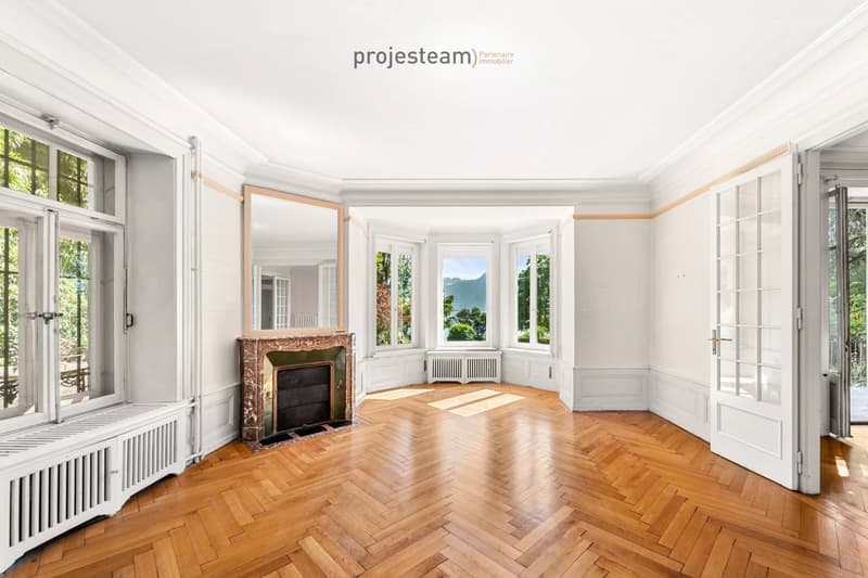 Appartement de caractère en première ligne du lac (10)