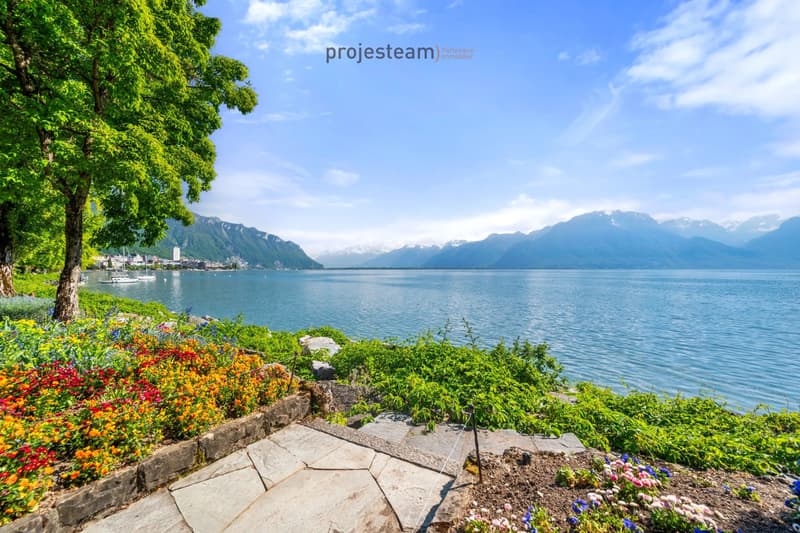 Appartement de caractère en première ligne du lac (4)