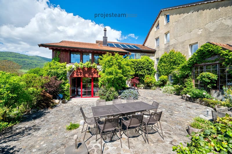 2 appartements 84m2 et 181m2 , réunis en un triplex dans une ferme rénovée (1)