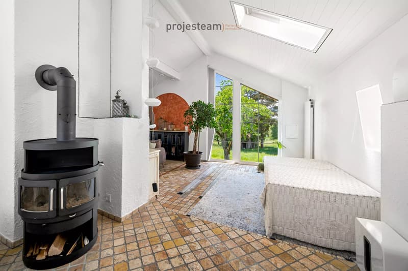 2 appartements 84m2 et 181m2 , réunis en un triplex dans une ferme rénovée (4)