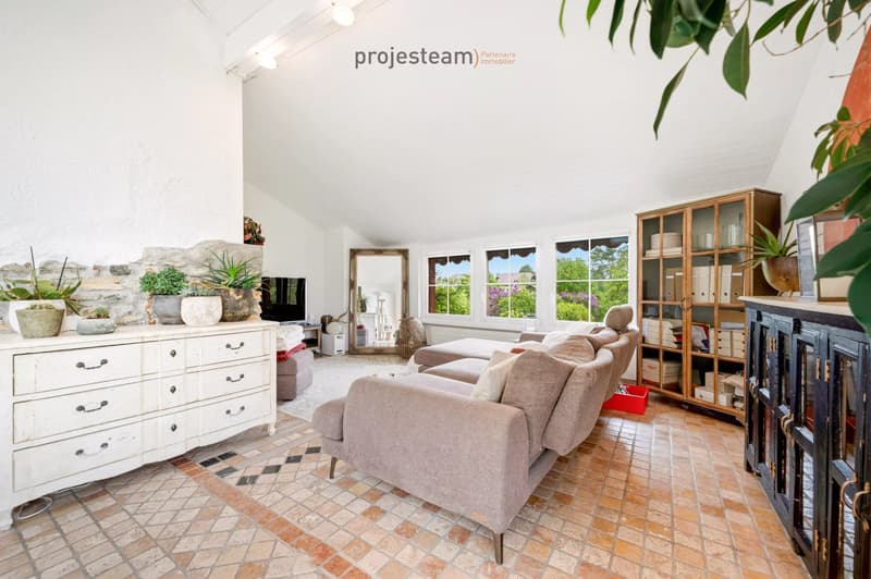 2 appartements 84m2 et 181m2 , réunis en un triplex dans une ferme rénovée (12)