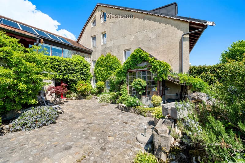 2 appartements 84m2 et 181m2 , réunis en un triplex dans une ferme rénovée (2)