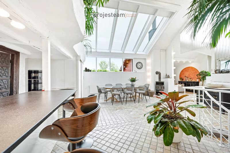 2 appartements 84m2 et 181m2 , réunis en un triplex dans une ferme rénovée (10)