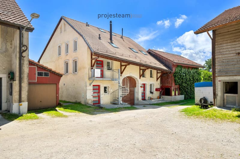 2 appartements 84m2 et 181m2 , réunis en un triplex dans une ferme rénovée (5)