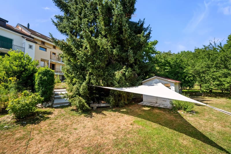 Maison de village de caractère de 4 étages ? 320 m² habitables sur 1'815 m² de terrain (5)