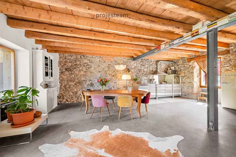 Maison de village de caractère de 4 étages ? 320 m² habitables sur 1'815 m² de terrain (9)