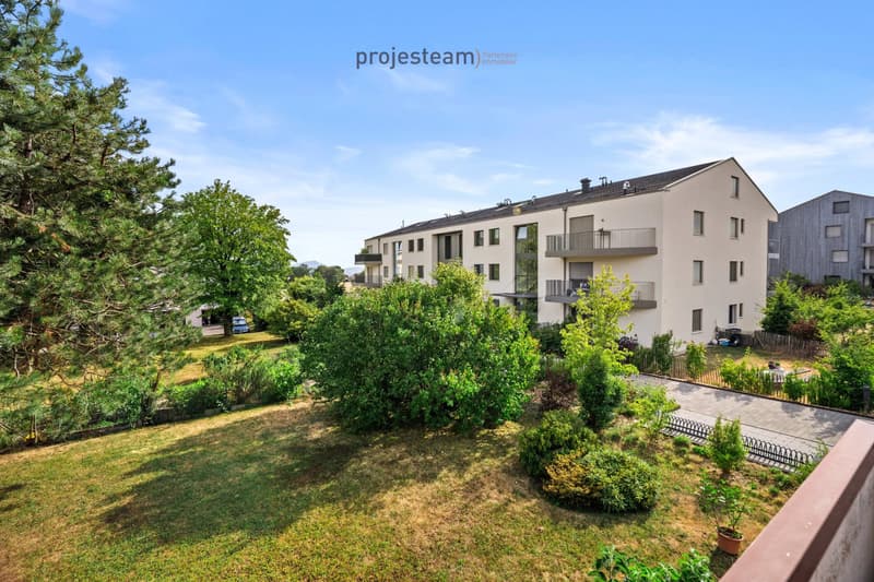 Appartement avec cheminée, rénové avec soin, grand balcon plein sud, dans un cadre verdoyant et familial (11)