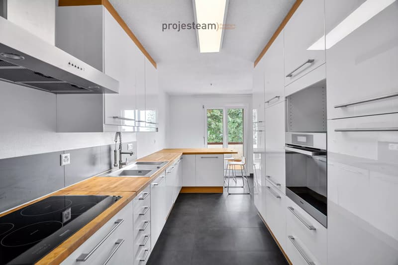 Appartement avec cheminée, rénové avec soin, grand balcon plein sud, dans un cadre verdoyant et familial (6)