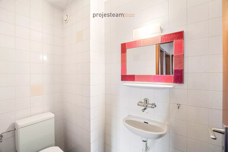 Appartement avec cheminée, rénové avec soin, grand balcon plein sud, dans un cadre verdoyant et familial (13)