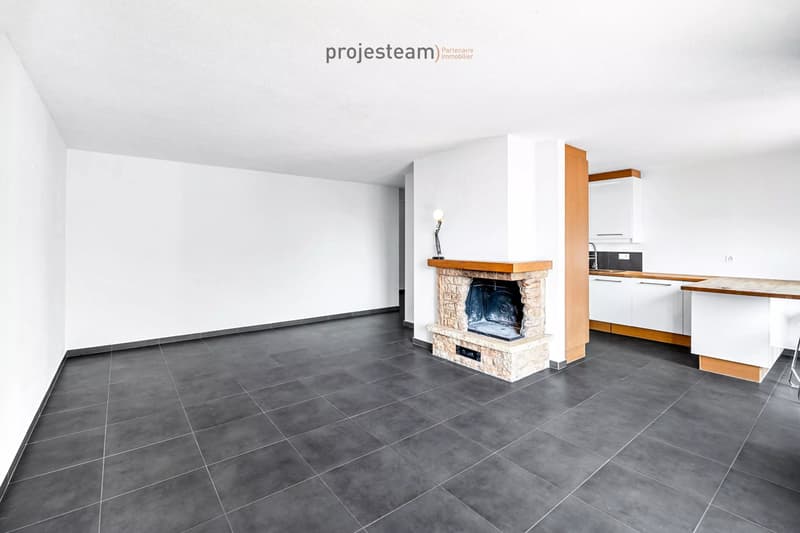 Appartement avec cheminée, rénové avec soin, grand balcon plein sud, dans un cadre verdoyant et familial (6)