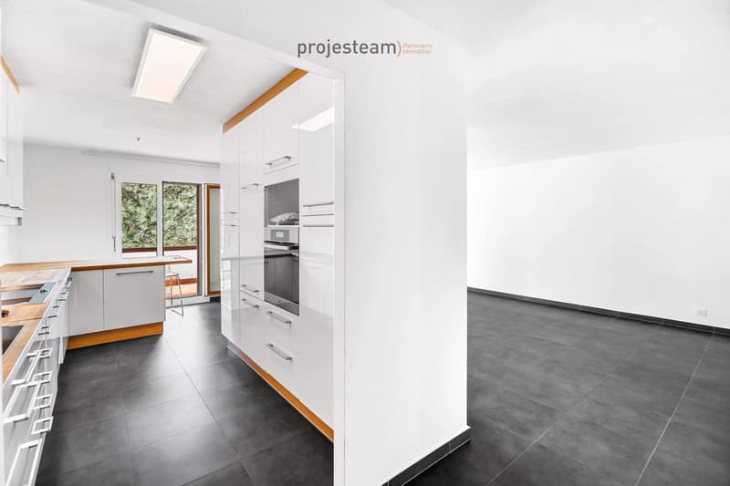 Appartement avec cheminée, rénové avec soin, grand balcon plein sud, dans un cadre verdoyant et familial (5)