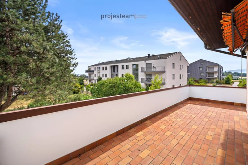 Appartement avec cheminée, rénové avec soin, grand balcon plein sud, dans un cadre verdoyant et familial (10)