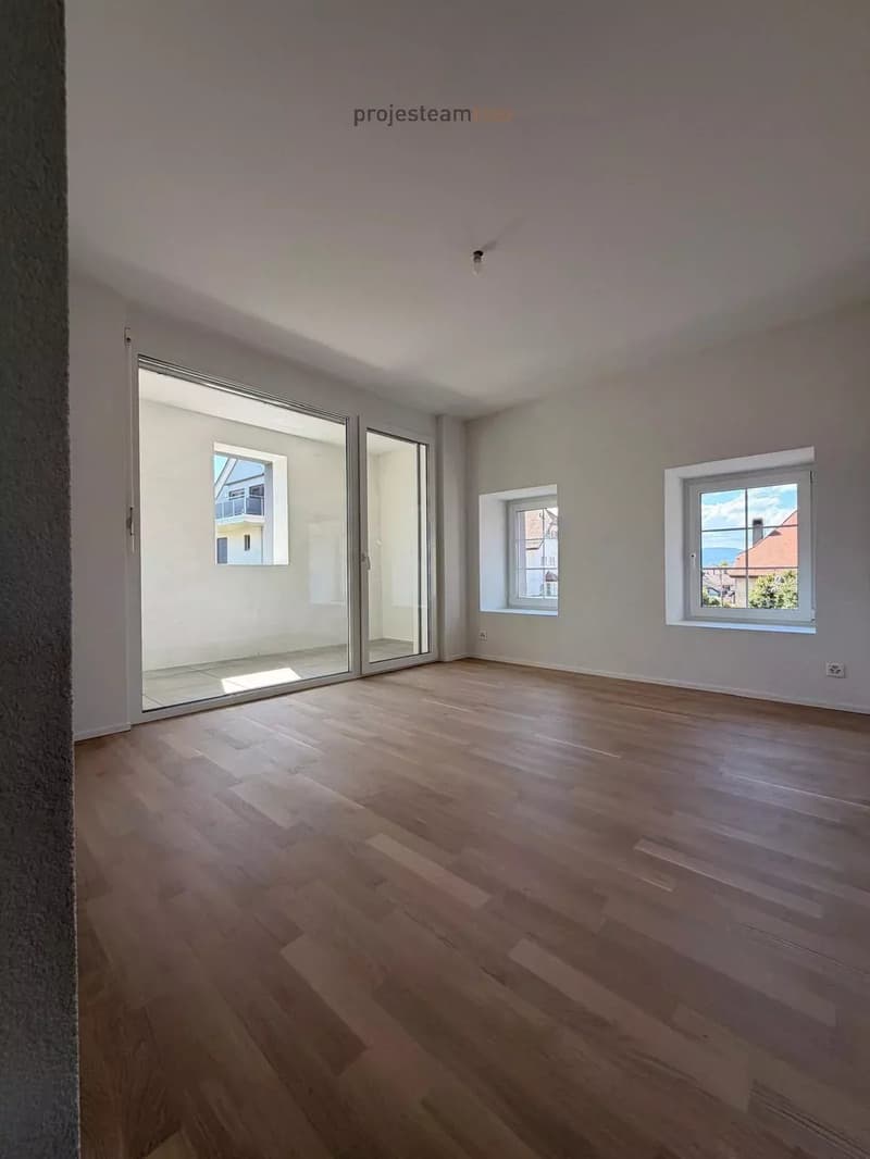 Appartement neuf - Duplex combles au cachet et charme accentué par des doubles hauteurs de plafond (9)