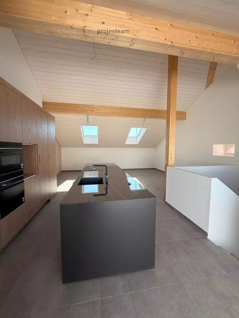 Appartement neuf - Duplex combles au cachet et charme accentué par des doubles hauteurs de plafond (3)