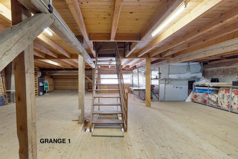 Corps de ferme de 820 m² comprenant 3 appartements et 2 granges partiellement rénovées, à 8 km d'Avenches et à 25 km de Neuchâtel et Fribourg. (43)