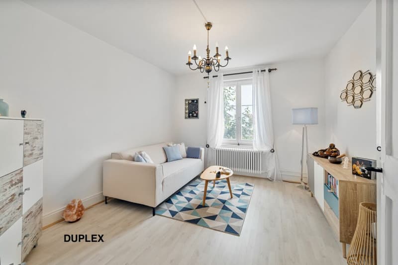 Corps de ferme de 820 m² comprenant 3 appartements et 2 granges partiellement rénovées, à 8 km d'Avenches et à 25 km de Neuchâtel et Fribourg. (33)