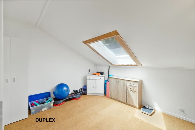 Corps de ferme de 820 m² comprenant 3 appartements et 2 granges partiellement rénovées, à 8 km d'Avenches et à 25 km de Neuchâtel et Fribourg. (34)