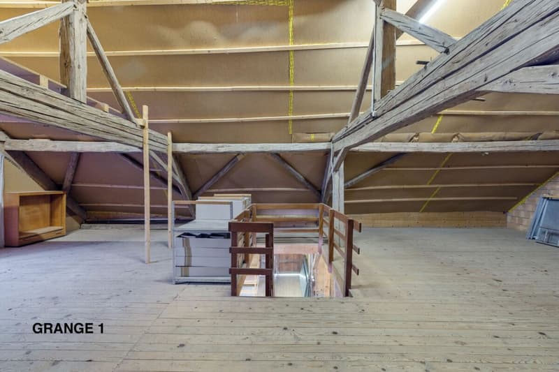 Corps de ferme de 820 m² comprenant 3 appartements et 2 granges partiellement rénovées, à 8 km d'Avenches et à 25 km de Neuchâtel et Fribourg. copie (46)