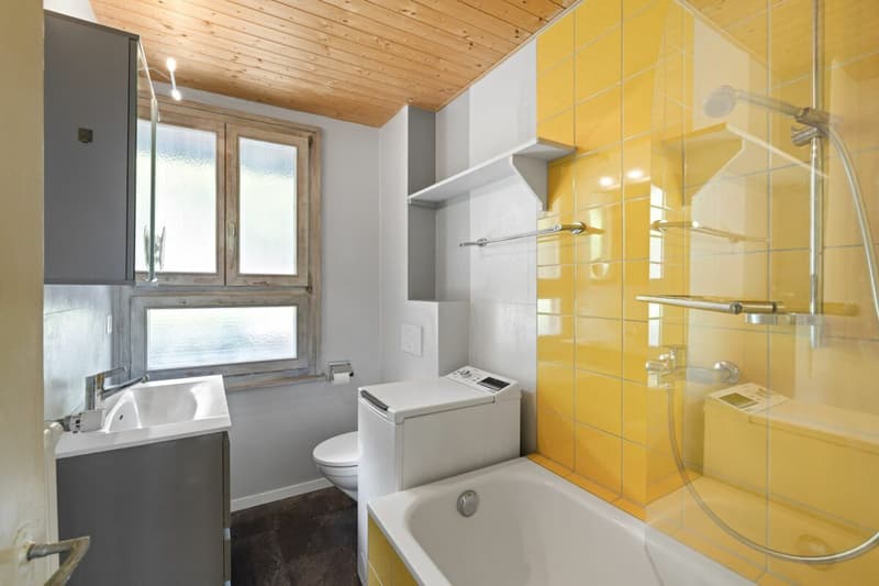 Petit immeuble locatif à 300 mètres du centre-ville (20)