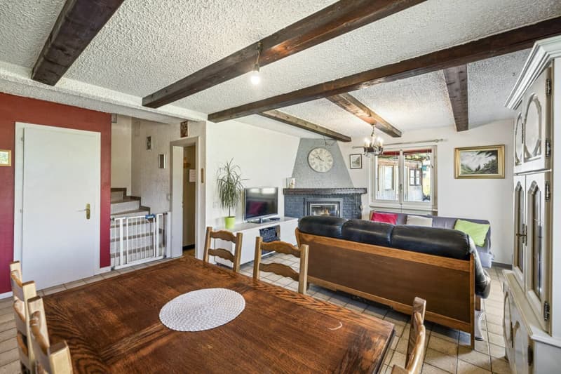 Maison individuelle 5 pièces ½ de 224 m2 nets sur parcelles de 1693 m2 avec une vue époustouflante (11)