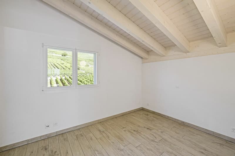 Spacieux attique de 4,5 pièces de 146 m2 bénéficiant d'une vue imprenable sur les Alpes (17)