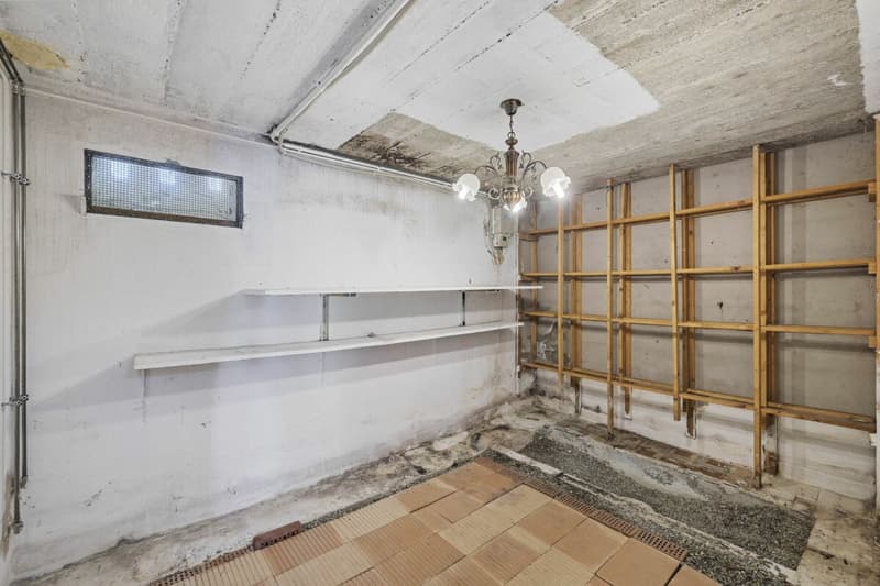 Maison individuelle 6 pièces 1/2 avec un atelier et une vue extraordinaire (25)