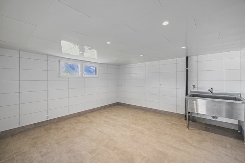 Maison individuelle 6 pièces 1/2 avec un atelier et une vue extraordinaire (22)