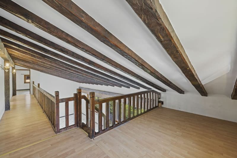 Maison individuelle 6 pièces 1/2 avec un atelier et une vue extraordinaire (15)