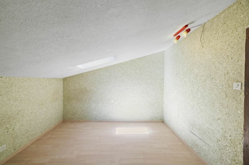 Maison individuelle 6 pièces 1/2 avec un atelier et une vue extraordinaire (19)