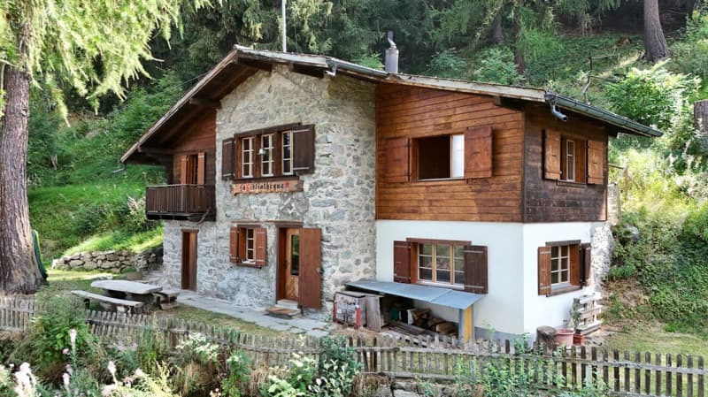 Chalet unique au bord du bisse, à seulement 350 mètres des télécabines de Veysonnaz (1)