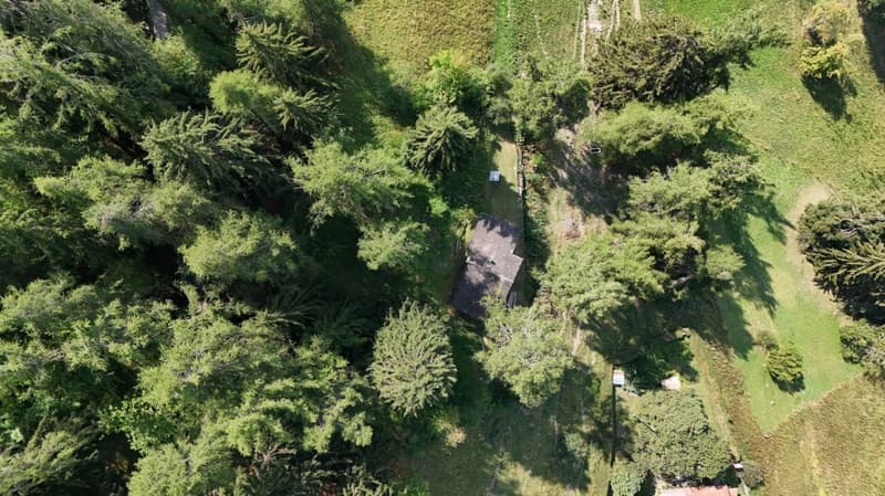Chalet unique au bord du bisse, à seulement 350 mètres des télécabines de Veysonnaz (22)