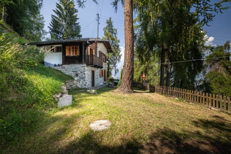 Chalet unique au bord du bisse, à seulement 350 mètres des télécabines de Veysonnaz (3)