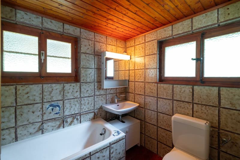 Chalet unique au bord du bisse, à seulement 350 mètres des télécabines de Veysonnaz (14)