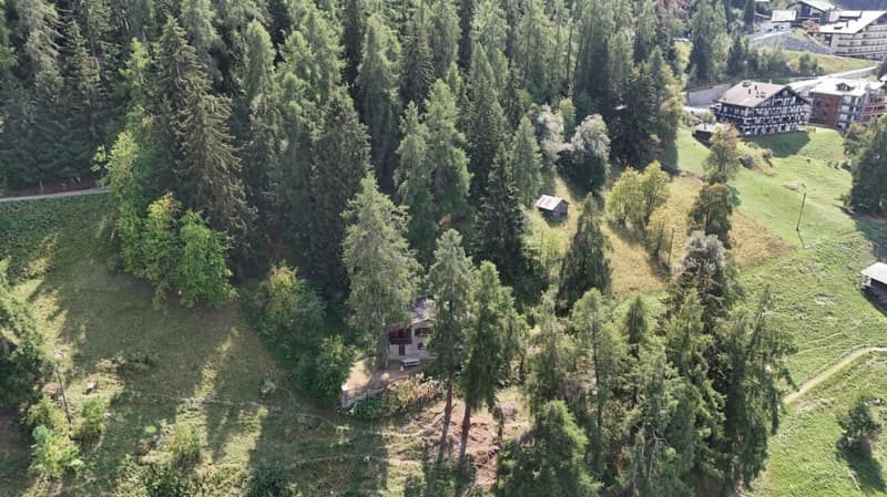 Chalet unique au bord du bisse, à seulement 350 mètres des télécabines de Veysonnaz (5)