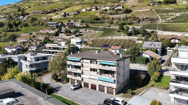 Bel appartement rénové dans le charmant village de Noës (23)