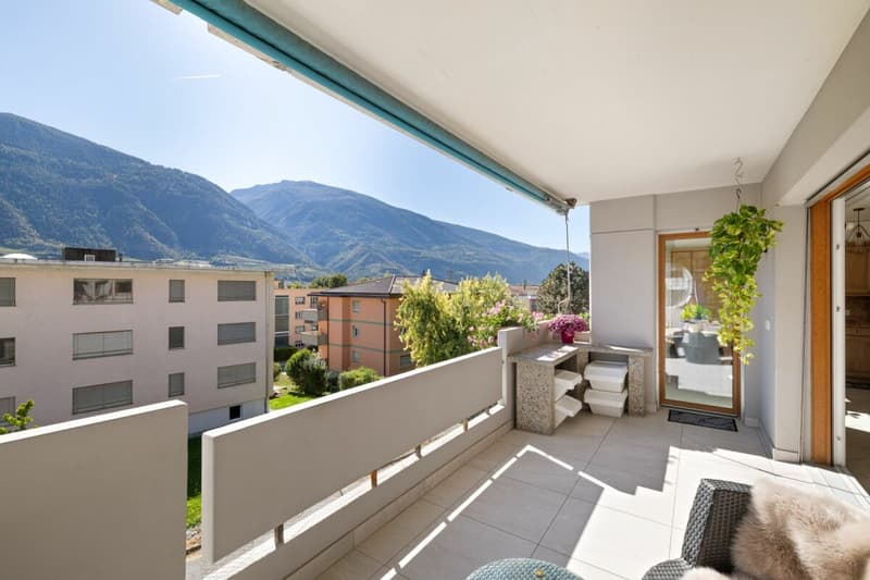 Bel appartement rénové dans le charmant village de Noës (16)