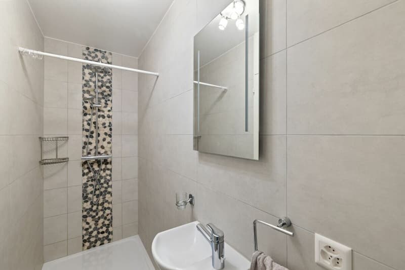 Bel appartement rénové dans le charmant village de Noës (21)
