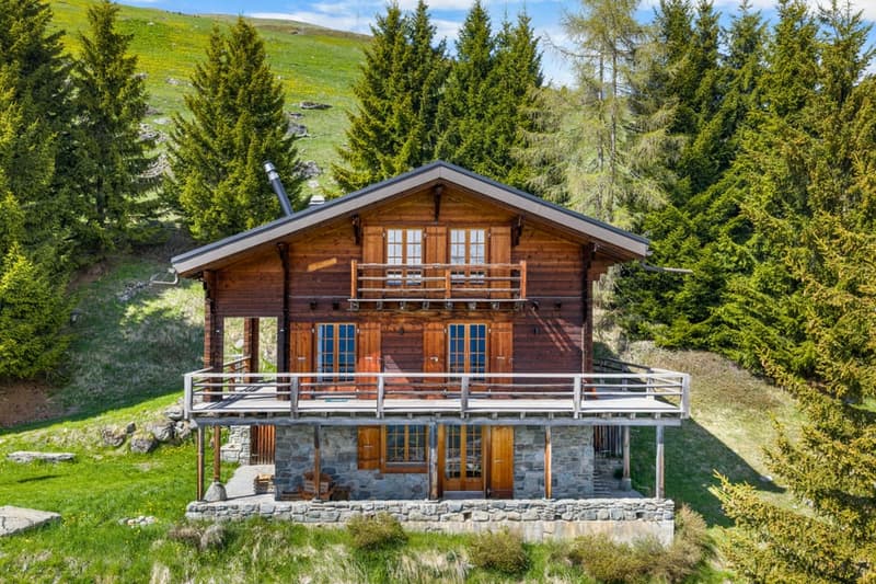 Chalet Verbier - 3.jpg
