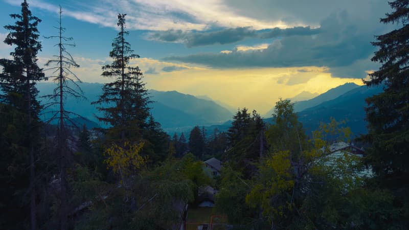 View_01.jpg