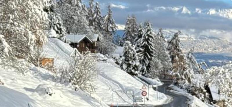 Winter card parcelle 4104.jpg