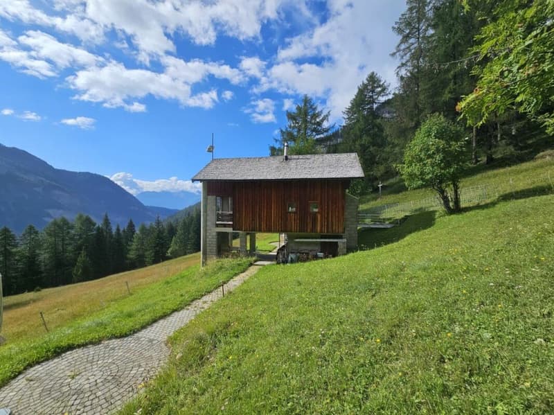 Chalet de 3.5 pièces situé dans un environnement unique au Rawyl - PAS ACCESSIBLE DU TOUT EN HIVER NI A PIED, NI EN VOITURE, NI A SKIS et avec un 4X4 le reste de l'année (1)