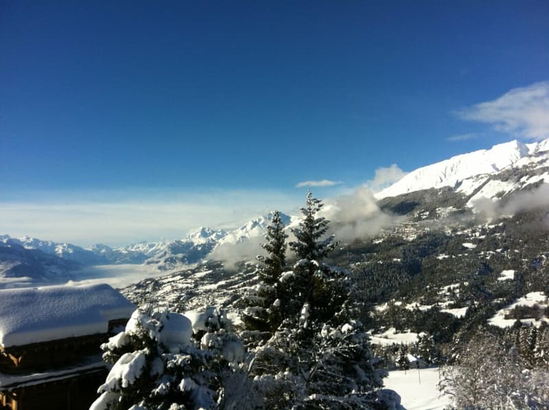 Chalet 6.5 pièces à Crans-Montana (4)
