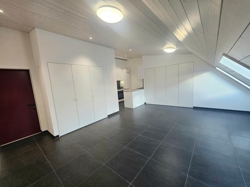 Empty room with white walls, black tiled floor, wooden ceiling, two sets of white wardrobes, a kitchen area with a countertop and a sink, and a maroon door.