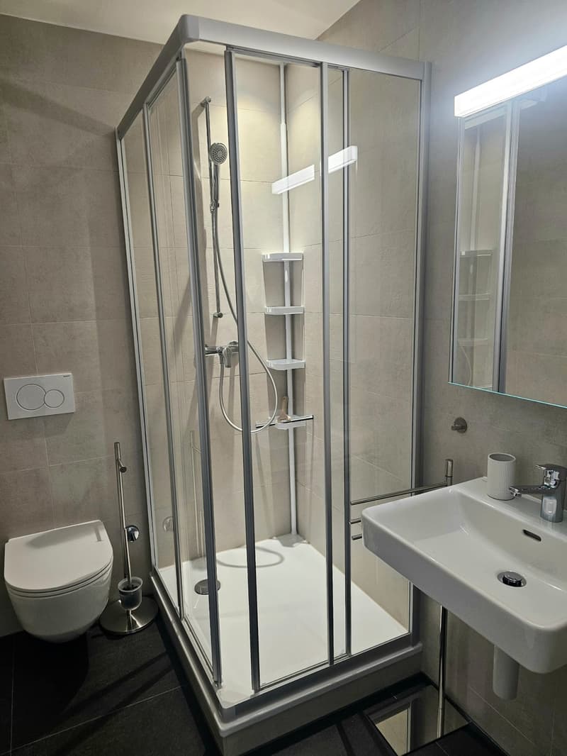 Modern bathroom with a glass shower enclosure, white toilet, white sink, and a mirror.