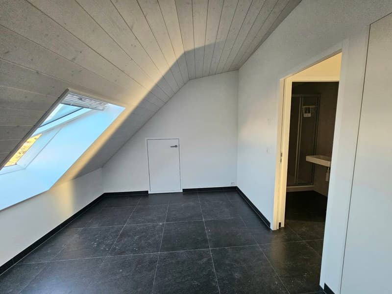 empty attic room, black tile flooring, white walls, small skylight